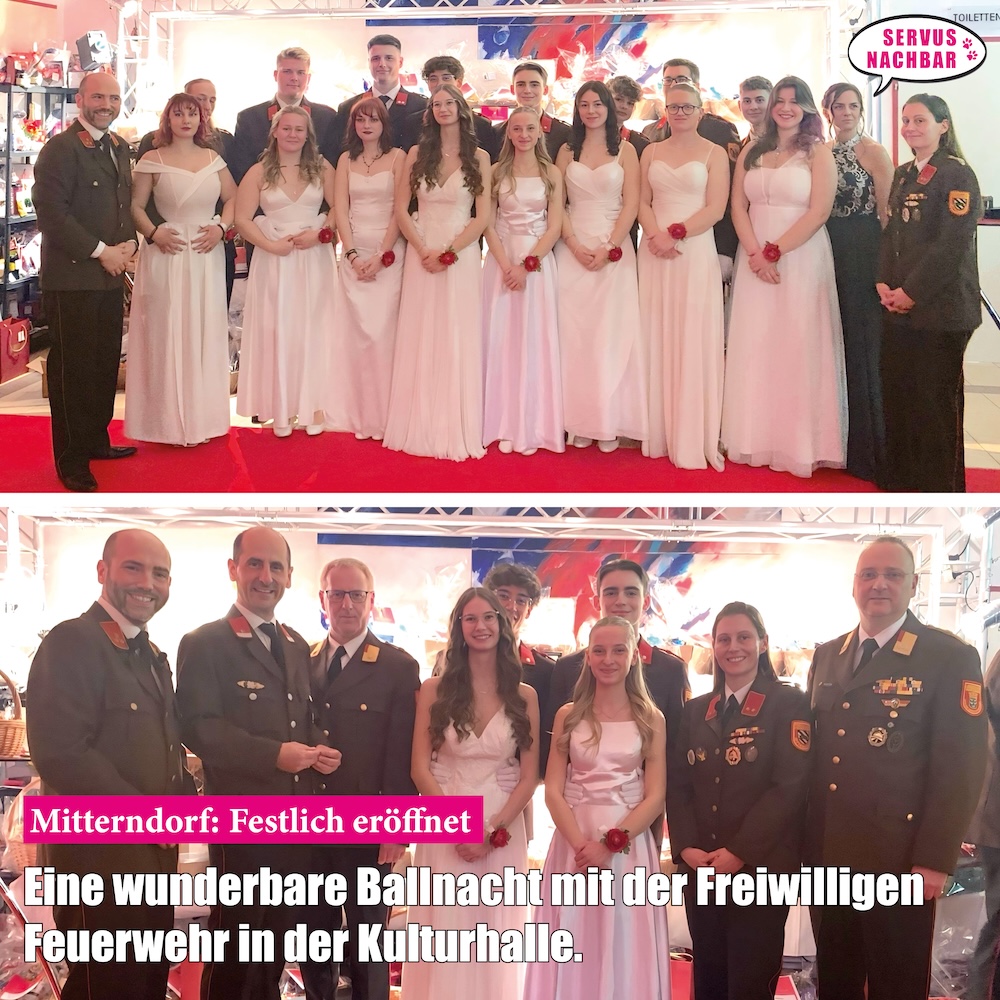 2025-3-Mitterndorf-FFBall.jpg