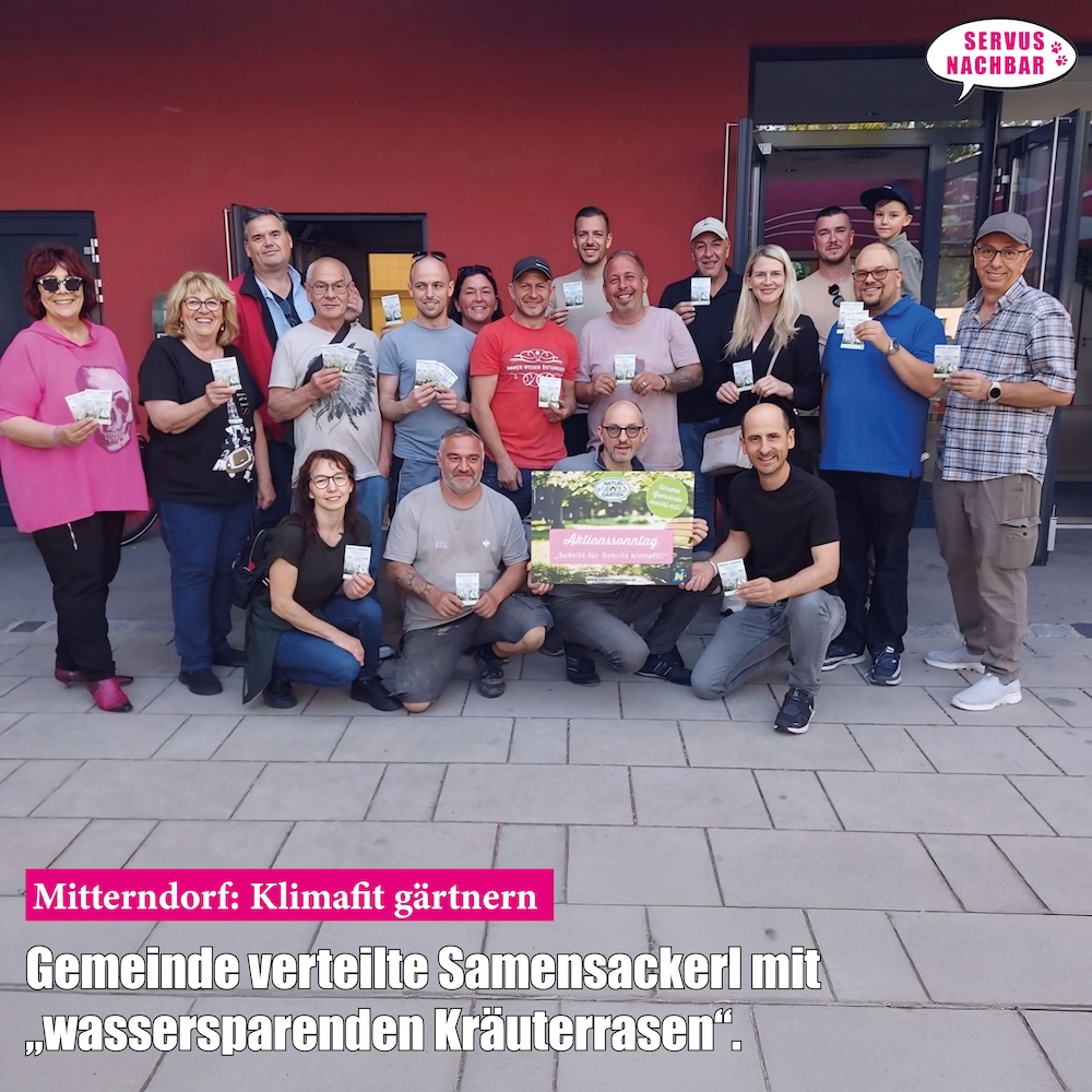 2025-5-Mitterndorf-Samen.jpg