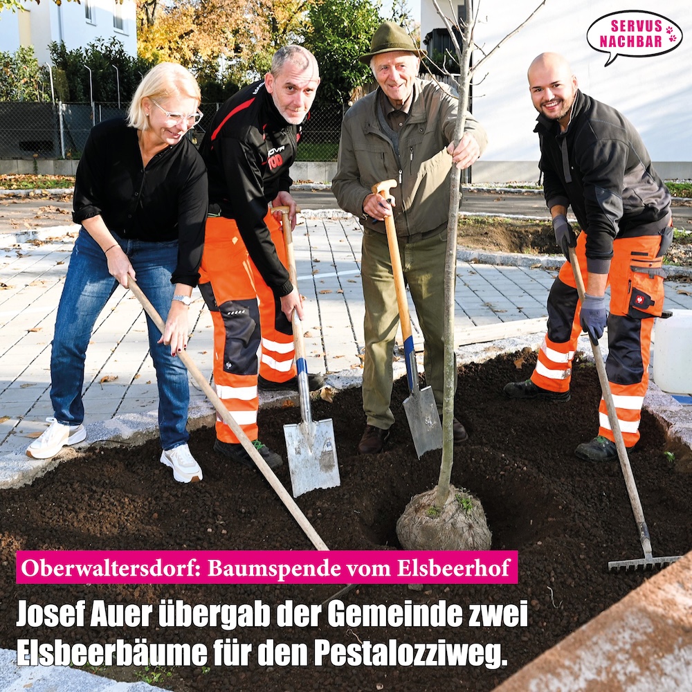 2024-11-Oberwaltersdorf-Elsbeer.jpg