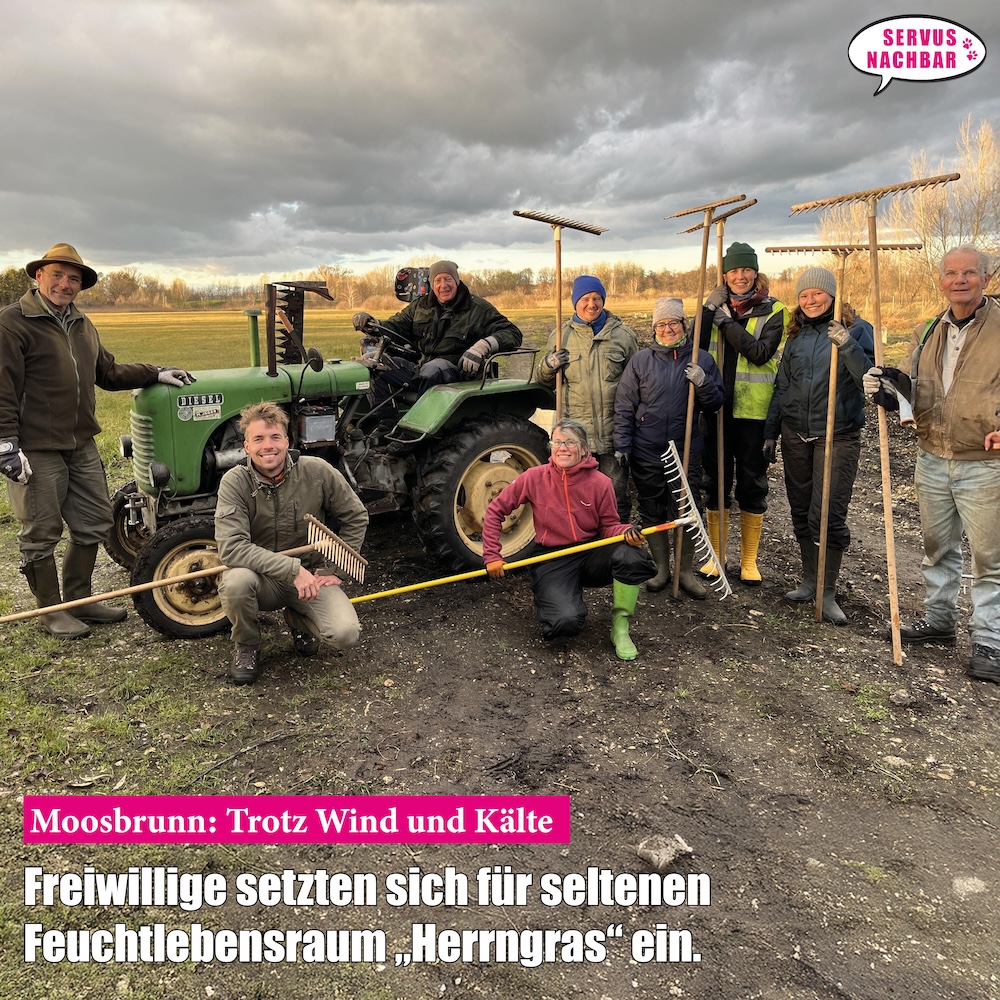 2024-12-Moosbrunn-Herrngras.jpg